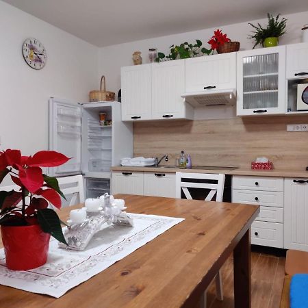 Apartman Pod Bozim Darem Jáchymov Dış mekan fotoğraf