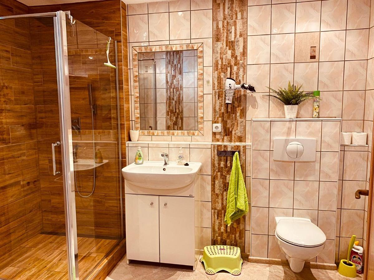 Apartman Pod Bozim Darem Jáchymov Dış mekan fotoğraf